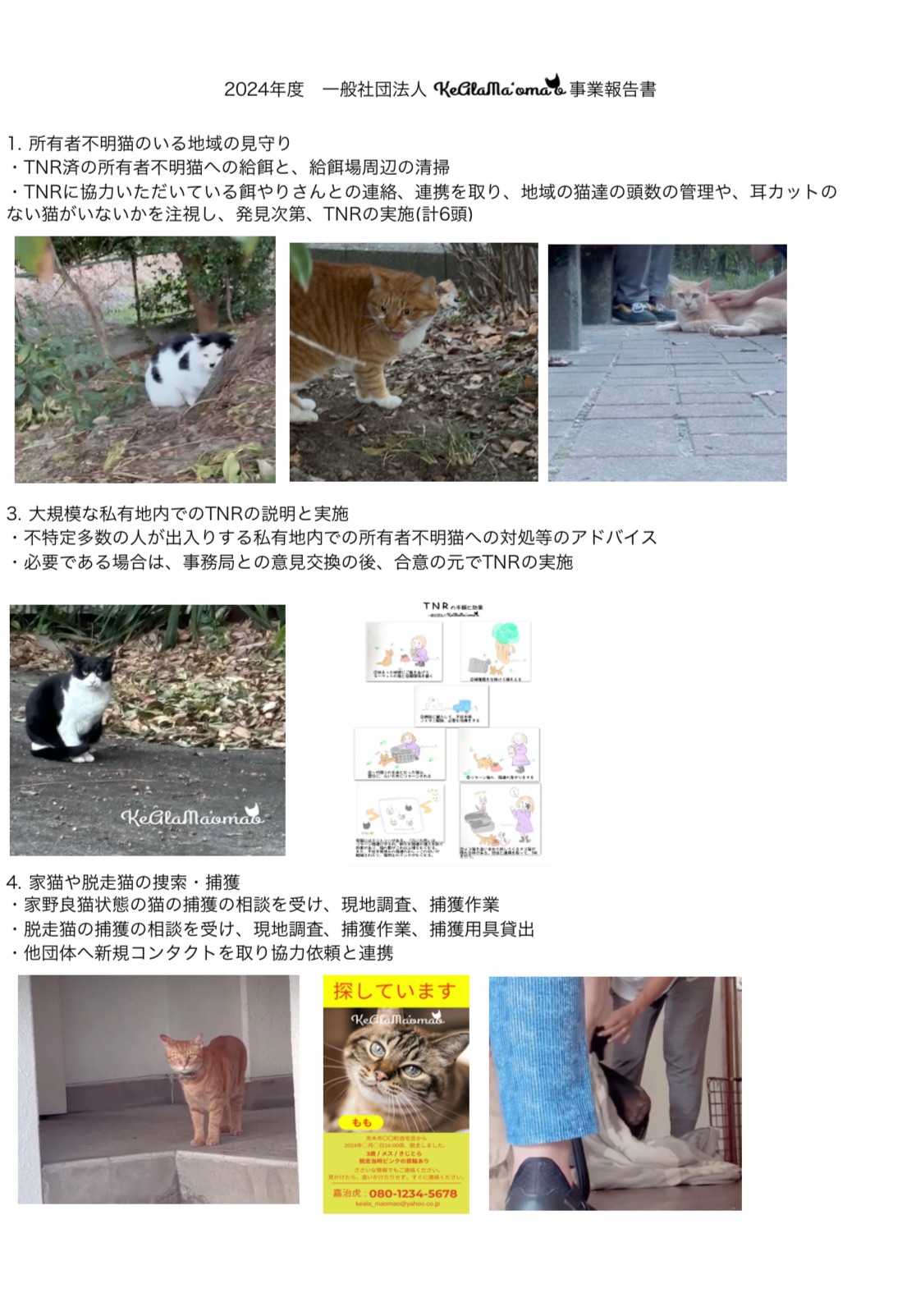 2024決算報告書