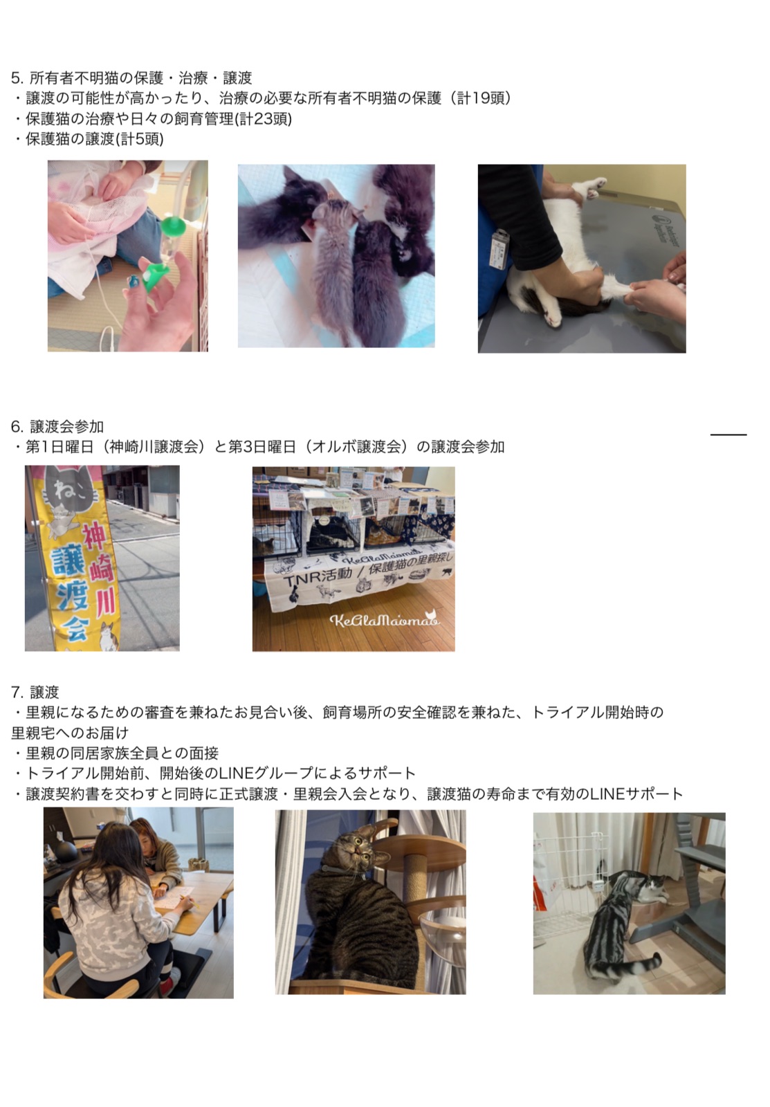 2024決算報告書