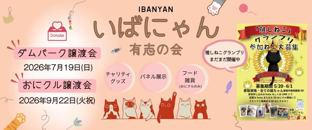 茨木　保護猫　おにクル　譲渡会