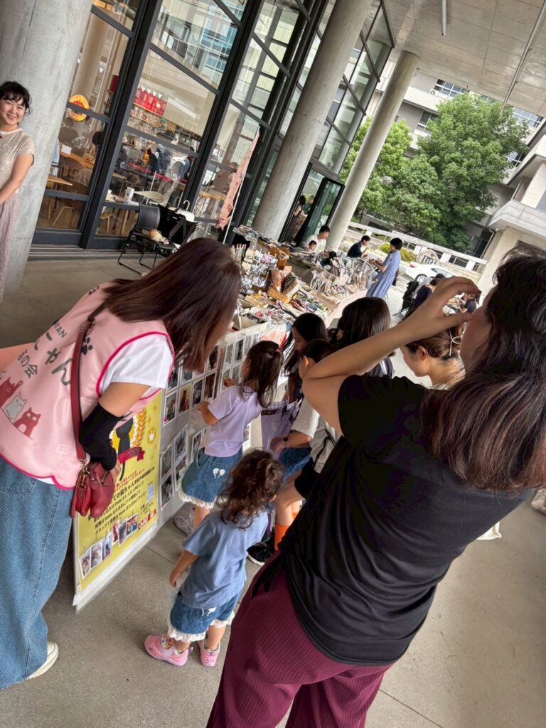茨木市 譲渡会 保護猫 野良猫