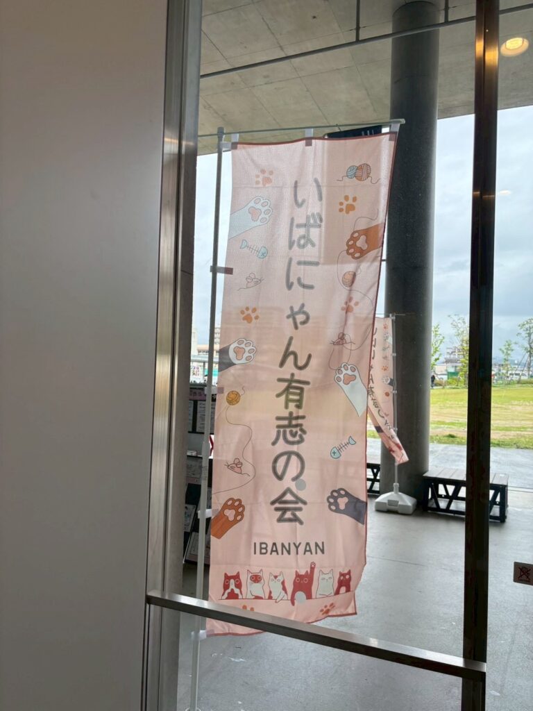 いばにゃん 有志の会 茨木市 保護猫譲渡会